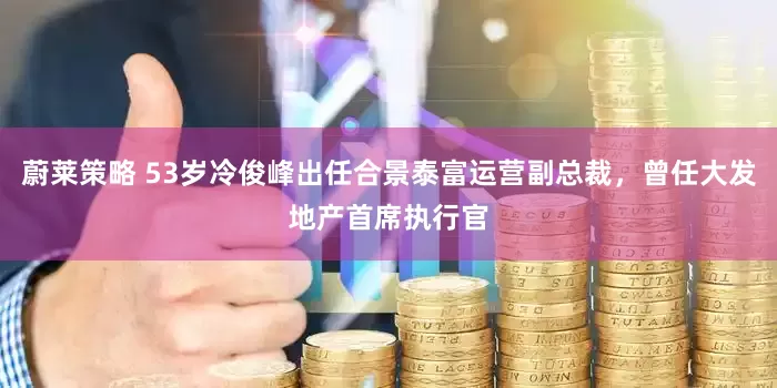 蔚莱策略 53岁冷俊峰出任合景泰富运营副总裁，曾任大发地产首席执行官