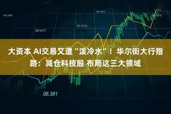 大资本 AI交易又遭“泼冷水”!华尔街大行指路:减仓科技股 布局这三大领域